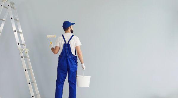 Renk, Koruma ve Estetik Bir Arada